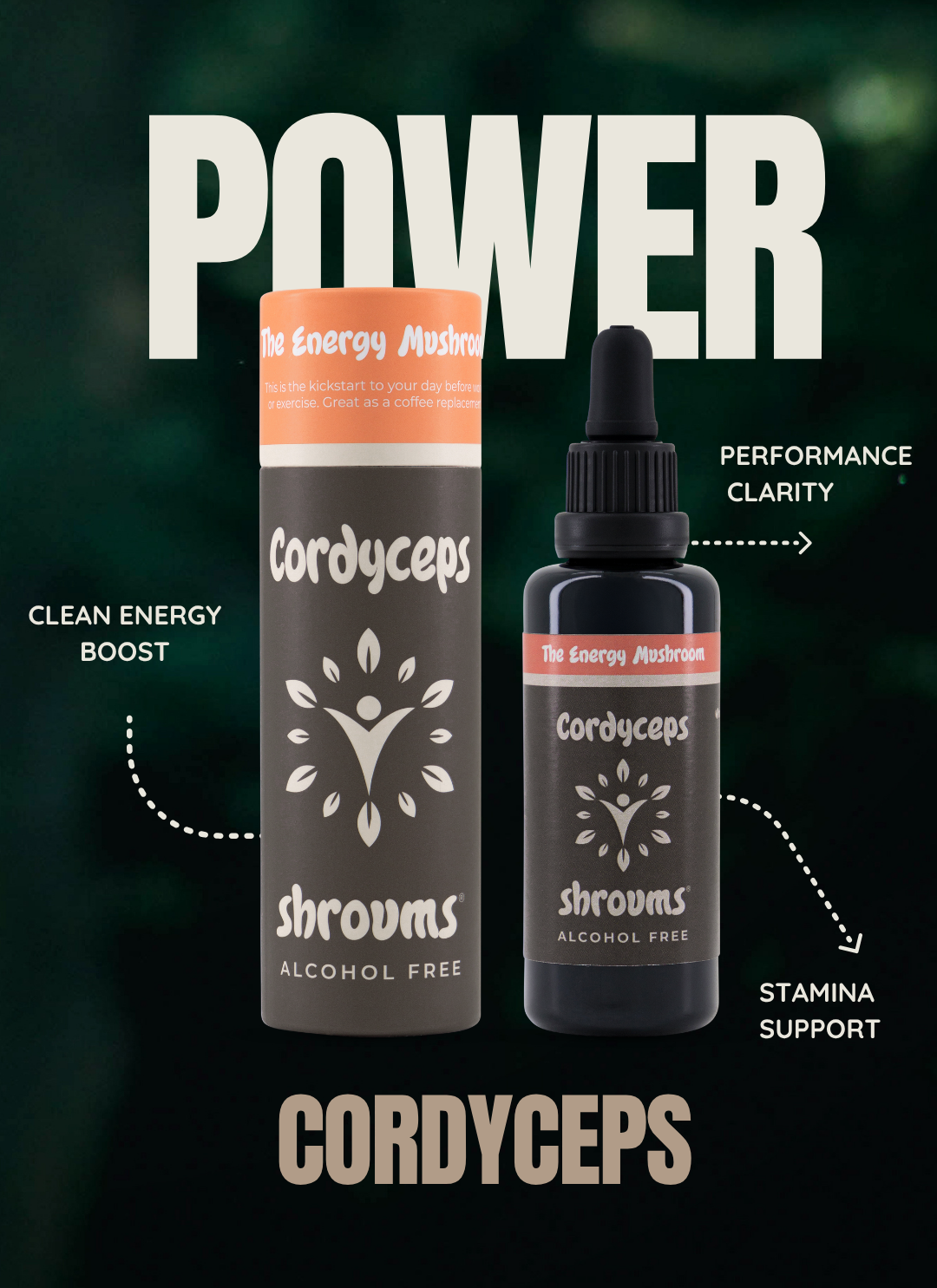 FOCUS • ENERGY • PERFORMANCE | Performance Pack - Image 4