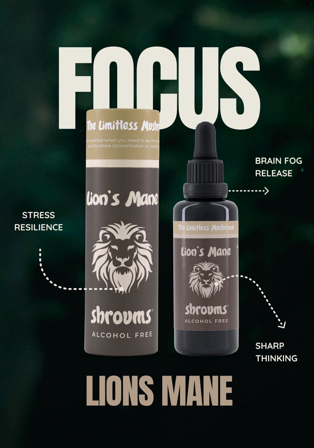 FOCUS • ENERGY • PERFORMANCE | Performance Pack - Image 5