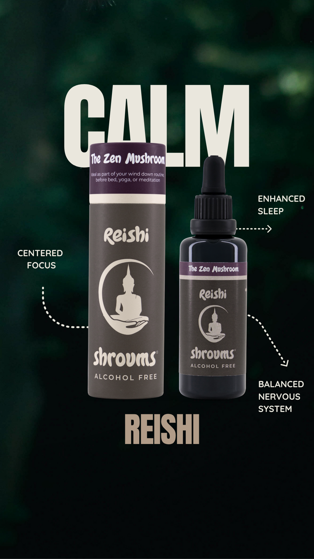 ENERGY & CALM | The Jet Set - Image 2
